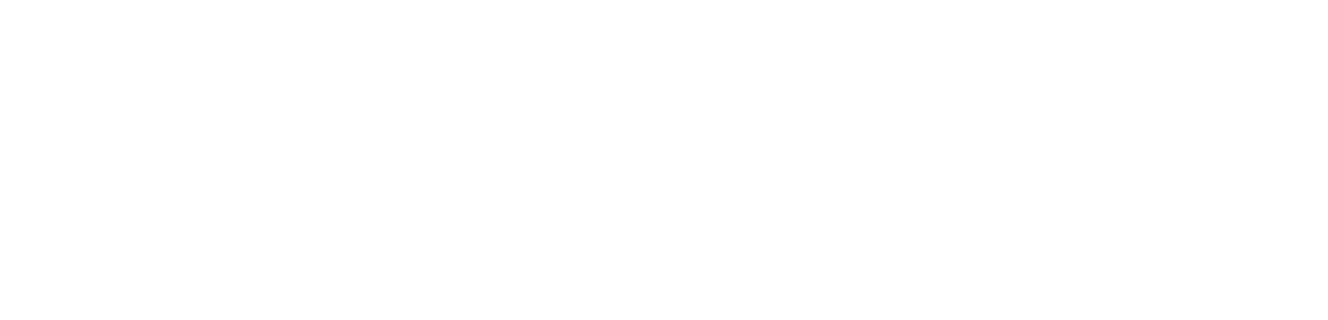 RegioPlan_Logo_rgb_neg_weiss